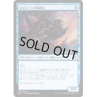 [EX+]セイレーンの嵐鎮め/Siren Stormtamer《日本語》【XLN】