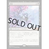 [HPLD]苦花/Bitterblossom《日本語》【UMA】