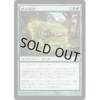 [PLD]熊の陰影/Bear Umbra《日本語》【ROE】