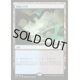 [PLD]地底の大河/Underground River《日本語》【Commander 2016】