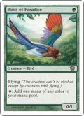[PLD]極楽鳥/Birds of Paradise《日本語》【8ED】