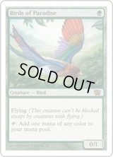 [HPLD]極楽鳥/Birds of Paradise《日本語》【8ED】