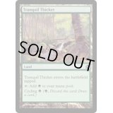 [EX+]平穏な茂み/Tranquil Thicket《英語》【Commander】