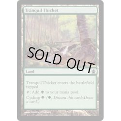 画像1: 平穏な茂み/Tranquil Thicket《英語》【Commander】