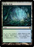 [EX+]霧深い雨林/Misty Rainforest《日本語》【ZEN】