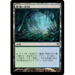 画像1: [PLD]霧深い雨林/Misty Rainforest《日本語》【ZEN】