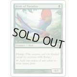 極楽鳥/Birds of Paradise《英語》【8ED】