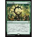 [EX]ドルイドの誓い/Oath of Druids《日本語》【Commander 2016】