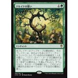 [EX]ドルイドの誓い/Oath of Druids《日本語》【Commander 2016】