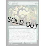 ドルイドの誓い/Oath of Druids《日本語》【Commander 2016】