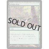 [EX+]平穏な茂み/Tranquil Thicket《日本語》【Commander】