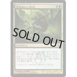 忌まわしい回収/Grisly Salvage《日本語》【RTR】