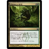 [EX+]忌まわしい回収/Grisly Salvage《日本語》【RTR】