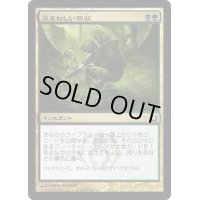 忌まわしい回収/Grisly Salvage《日本語》【RTR】