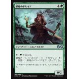 [EX+]献身のドルイド/Devoted Druid《日本語》【UMA】