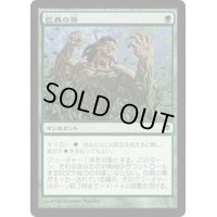 [EX+]巨森の蔦/Vines of Vastwood《日本語》【ZEN】