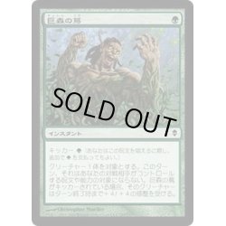 画像1: [EX+]巨森の蔦/Vines of Vastwood《日本語》【ZEN】