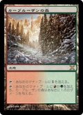 [EX+]カープルーザンの森/Karplusan Forest《日本語》【10E】