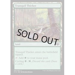 画像1: [EX+]平穏な茂み/Tranquil Thicket《英語》【Commander 2014】