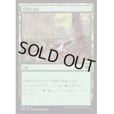 [EX+]平穏な茂み/Tranquil Thicket《日本語》【Commander 2014】
