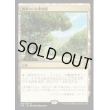 風変わりな果樹園/Exotic Orchard《日本語》【Commander 2016】