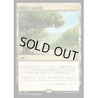 風変わりな果樹園/Exotic Orchard《日本語》【Commander 2016】