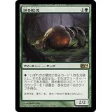漁る軟泥/Scavenging Ooze《日本語》【M14】