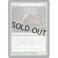[EX+]漁る軟泥/Scavenging Ooze《日本語》【M14】