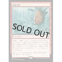 [EX+]命運の輪/Wheel of Fate《日本語》【Commander 2016】