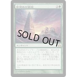 画像1: 目覚めの領域/Awakening Zone《日本語》【Commander】