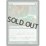 [EX+]怨恨/Rancor《日本語》【M13】