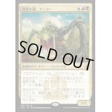 [EX]精霊の魂、アニマー/Animar, Soul of Elements《日本語》【A25】
