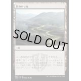 [EX+]灰のやせ地/Ash Barrens《日本語》【A25】
