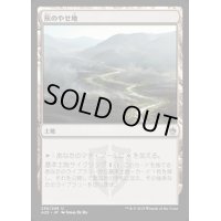 [EX+]灰のやせ地/Ash Barrens《日本語》【A25】