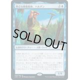 (FOIL)熱心な秘儀術師、ハルダン/Haldan, Avid Arcanist《日本語》【Commander 2020】