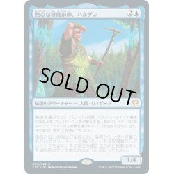 画像1: (FOIL)熱心な秘儀術師、ハルダン/Haldan, Avid Arcanist《日本語》【Commander 2020】