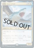 [EX+](FOIL)空鮫、シャーブラズ/Shabraz, the Skyshark《日本語》【Commander 2020】