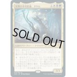[EX+](FOIL)光明の不可思議、タヤム/Tayam, Luminous Enigma《英語》【Commander 2020】