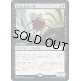 [EX+]骨塚の巻きひげ菌/Boneyard Mycodrax《日本語》【Commander 2020】