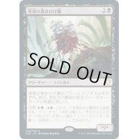 [EX+]骨塚の巻きひげ菌/Boneyard Mycodrax《日本語》【Commander 2020】