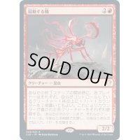 [EX+]扇動する蟻/Agitator Ant《日本語》【Commander 2020】