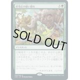 好奇心の強い群れ/Curious Herd《日本語》【Commander 2020】