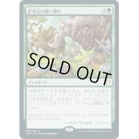 [EX+]好奇心の強い群れ/Curious Herd《日本語》【Commander 2020】