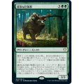 貪欲な巨体獣/Ravenous Gigantotherium《日本語》【Commander 2020】