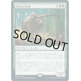 [EX+]貪欲な巨体獣/Ravenous Gigantotherium《日本語》【Commander 2020】