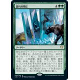 選択的順応/Selective Adaptation《日本語》【Commander 2020】