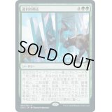[EX+]選択的順応/Selective Adaptation《日本語》【Commander 2020】