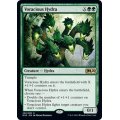 [EX+]大食のハイドラ/Voracious Hydra《英語》【M20】