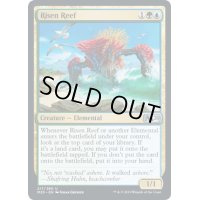 発現する浅瀬/Risen Reef《英語》【M20】