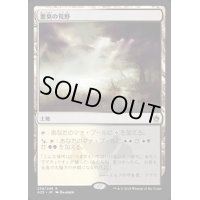 [HPLD]悪臭の荒野/Fetid Heath《日本語》【A25】